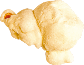 palomita3